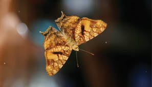 TANGGUNG JAWAB SOSIAL PERUSAHAAN